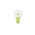 Variante vert citron - MINI MATCH Set tennis de plage