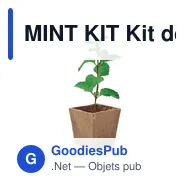 MINT KIT Kit de graines menthe - Miniature 3