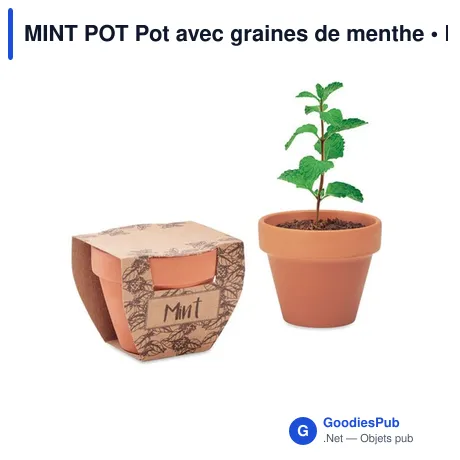 MINT POT Pot avec graines de menthe