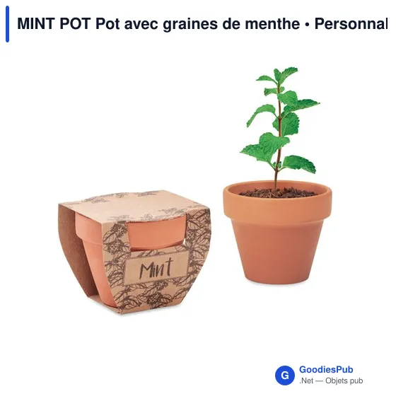 MINT POT Pot avec graines de menthe - Image 1