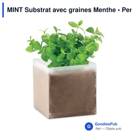MINT Substrat avec graines Menthe