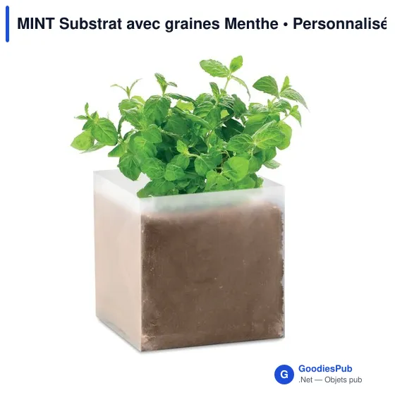 MINT Substrat avec graines Menthe - Image 1