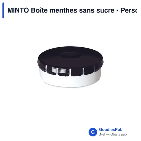 MINTO Boîte menthes sans sucre