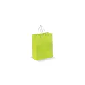 Variante Vert clair - Sac en papier kraft personnalisable format moyen 24 x 30 cm avec logo - Moyen