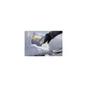 Variante translucide - Grattoir personnalisable Ontario avec logo pour accessoires auto