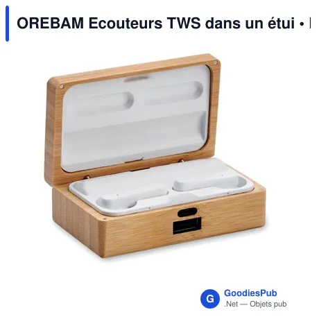 OREBAM Ecouteurs TWS dans un étui