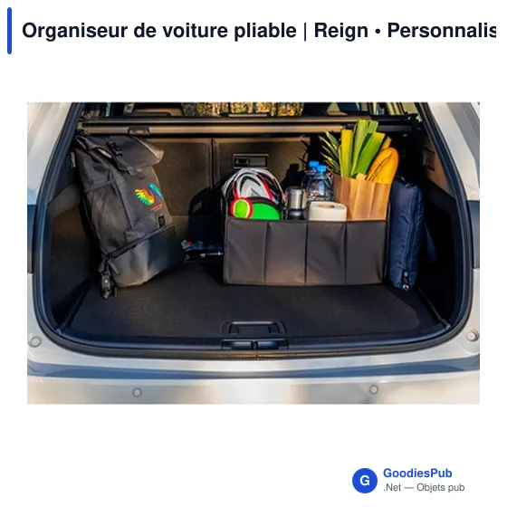 Organiseur de voiture pliable | Reign - Image 2