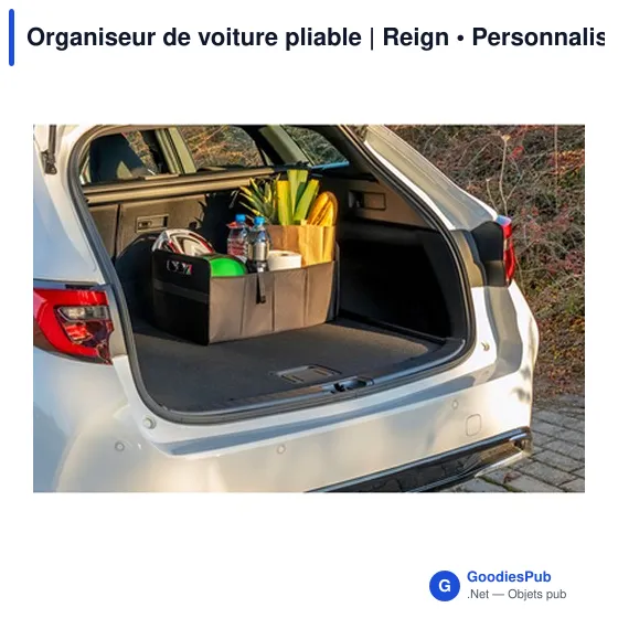 Organiseur de voiture pliable | Reign - Image 3