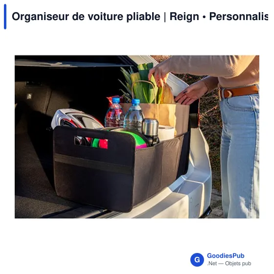 Organiseur de voiture pliable | Reign - Image 4