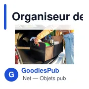Organiseur de voiture pliable | Reign - Miniature 5