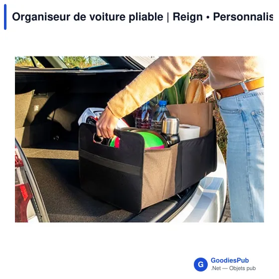Organiseur de voiture pliable | Reign - Image 5