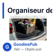 Organiseur de voiture pliable | Reign - Miniature 6