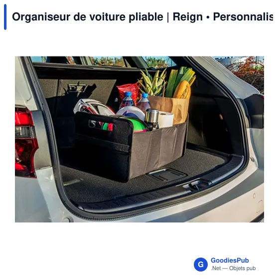 Organiseur de voiture pliable | Reign - Image 6