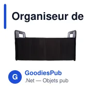 Organiseur de voiture pliable | Reign - Miniature 9