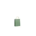 Variante vert - PAPER TONE S Sac en papier petit format