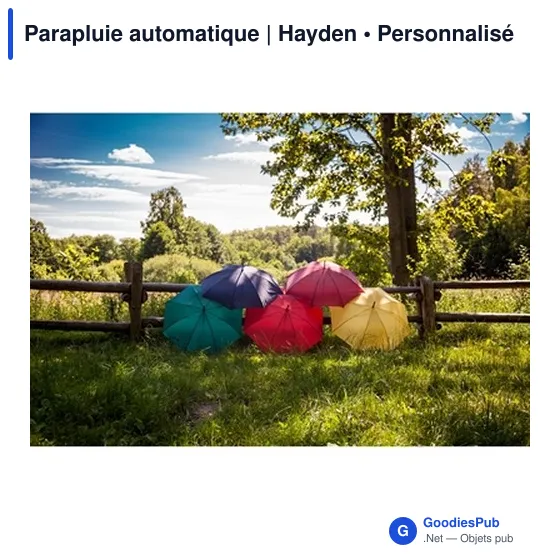 Parapluie automatique | Hayden - Image 2