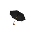 Variante noir - Parapluie automatique | Hayden