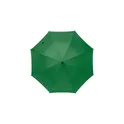 Variante vert - Parapluie en polyester 170T Barry