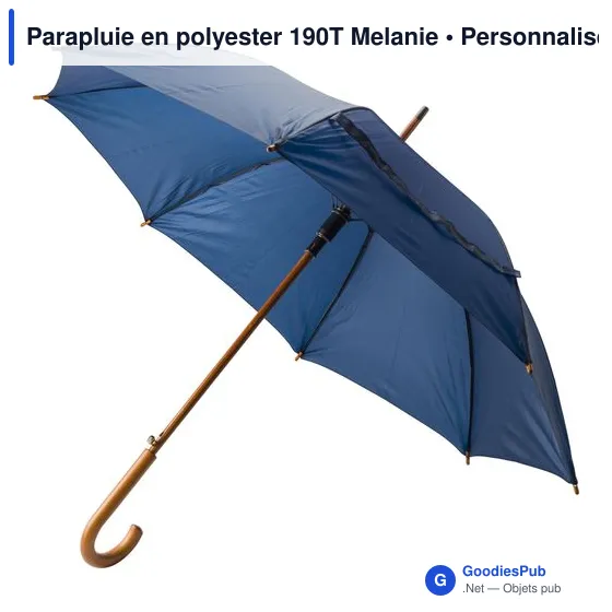 Parapluie personnalisable avec logo pour communication B2B - Image 2