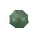 Variante vert - Parapluie golf automatique Andy