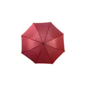 Variante bordeaux - Parapluie golf automatique Andy