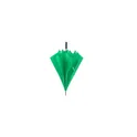 Variante vert - Parapluie Panan Xl
