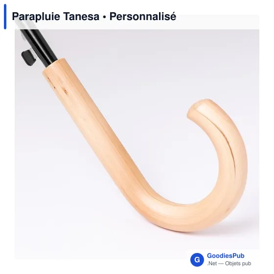 Parapluie personnalisable avec logo pour objets publicitaires - Image 4