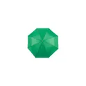 Variante vert - Parapluie Ziant