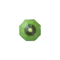 Variante vert kiwi - Pare-Soleil Chaptan