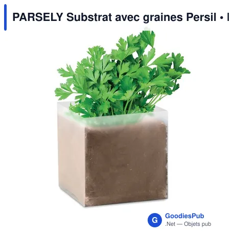 PARSELY Substrat avec graines Persil