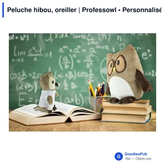 Peluche hibou personnalisable avec logo - Oreiller | Professowl - Image 2