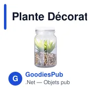 Plante Décorative Kyala - Miniature 1