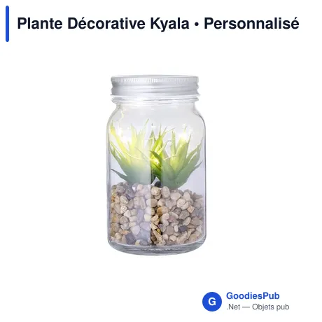 Plante Décorative Kyala