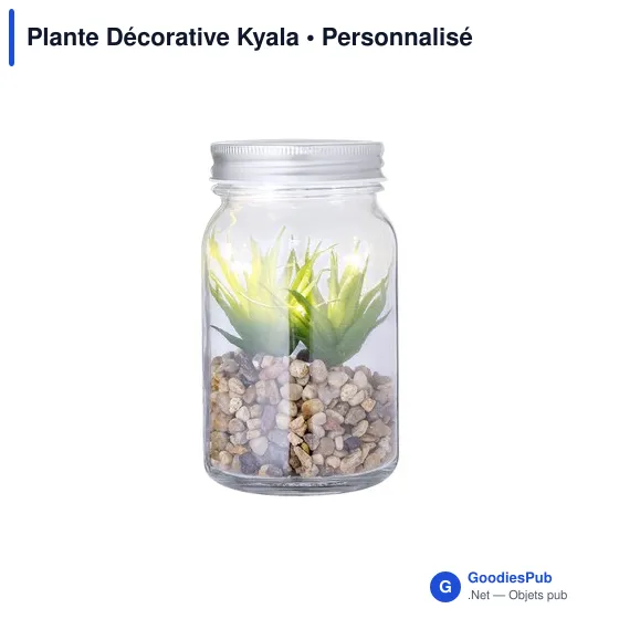 Plante Décorative Kyala - Image 1