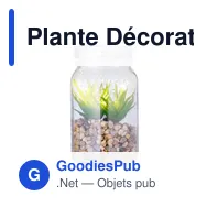 Plante Décorative Kyala - Miniature 2