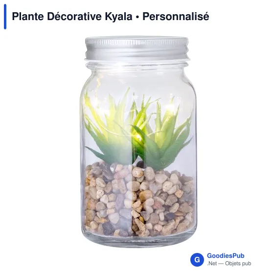 Plante Décorative Kyala - Image 2