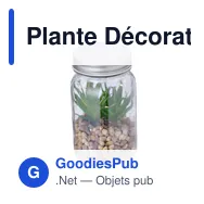 Plante Décorative Kyala - Miniature 3