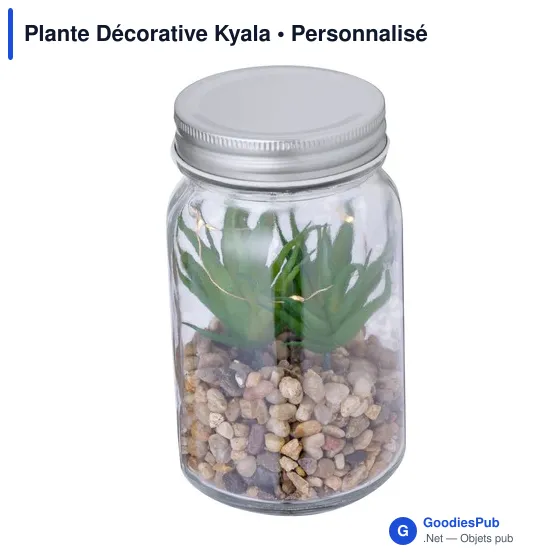 Plante Décorative Kyala - Image 3