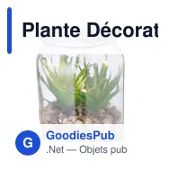 Plante Décorative Kyala - Miniature 4