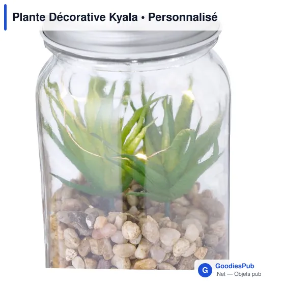 Plante Décorative Kyala - Image 4
