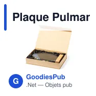 Plaque Pulman - Miniature 4