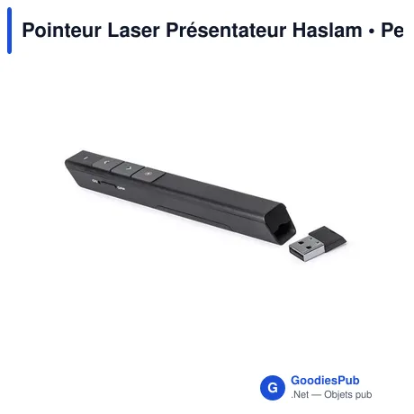 Pointeur Laser Présentateur Haslam