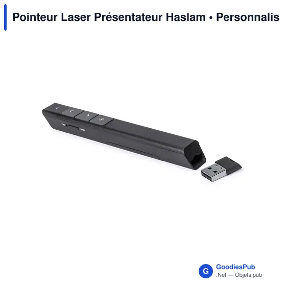 Pointeur Laser Présentateur Haslam - Image 1