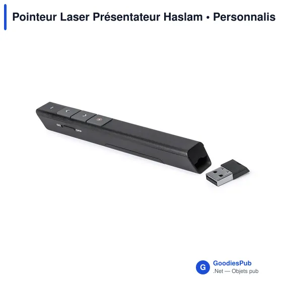 Pointeur Laser Présentateur Haslam - Image 2