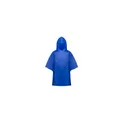 Variante bleu - Poncho Teo