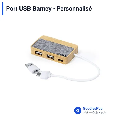 Port USB Barney