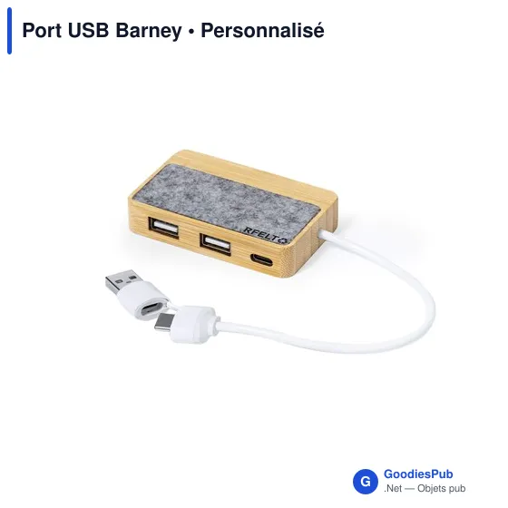 Port USB Barney - Image 1