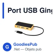 Port USB Ginger - Miniature 2