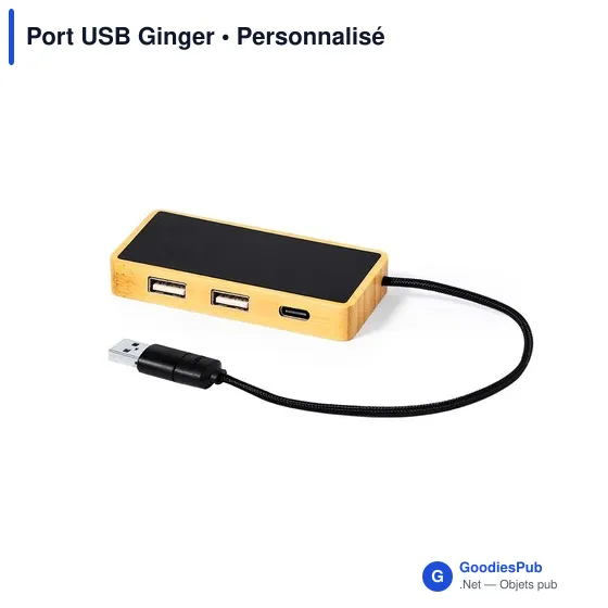 Port USB Ginger - Image 2