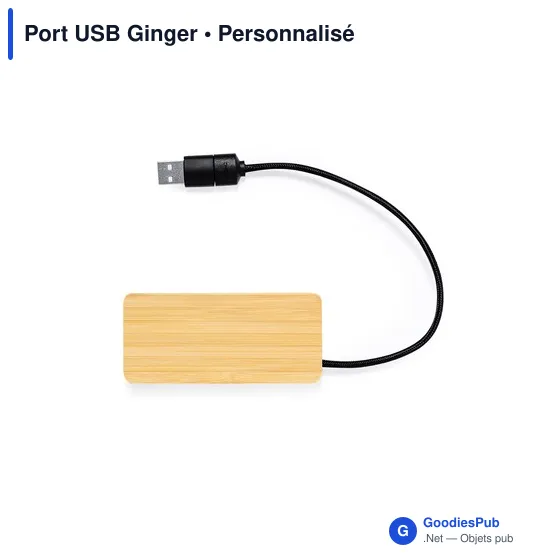 Port USB Ginger - Image 3